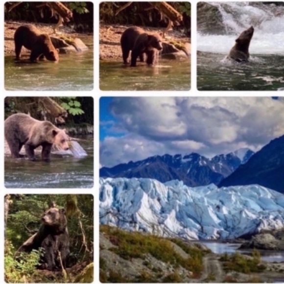 MEET THE POSHERS - Picture 10 of 16